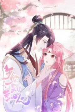 狐妃，别惹火