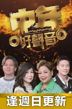 中年好声音
