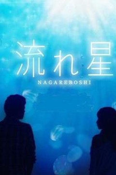 流星2010