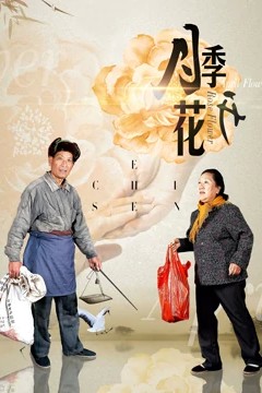 月季花开