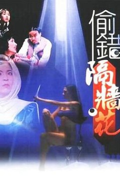 偷错隔墙花