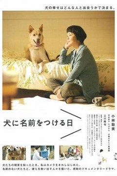 为你取名的那一天