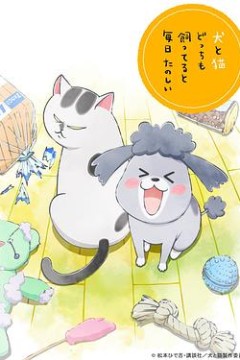 养狗与猫每天都很开心