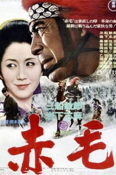 赤毛