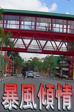 暴风倾情