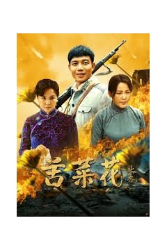 苦菜花