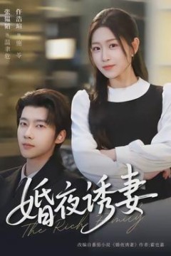 婚夜诱妻