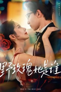 野玫瑰她是谁