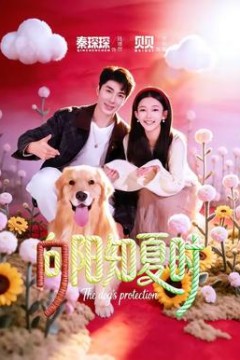 向阳知夏时