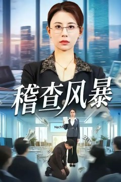 稽查风暴