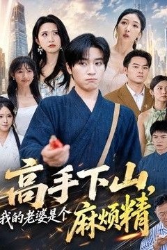 高手下山，我的老婆是个麻烦精