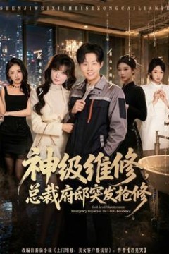 神级维修，总裁府邸突发抢修
