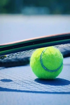 WTA250斯海尔托亨博斯站女单四分之一决赛、半决赛：克雷吉茨科娃VS里内特