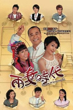 两妻时代粤语版