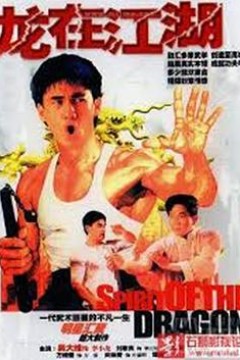 李小龙传粤语版