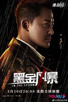 黑金风暴国语版