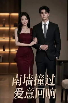 南墙撞过，爱意回响