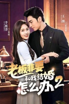 老板非要和我结婚怎么办第2季