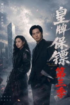 皇牌保镖第3季