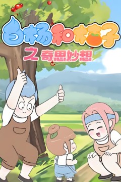 白杨和桔子第八季
