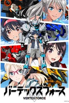 顶点武装