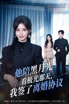 他陪黑月光看极光那天,我签了离婚协议